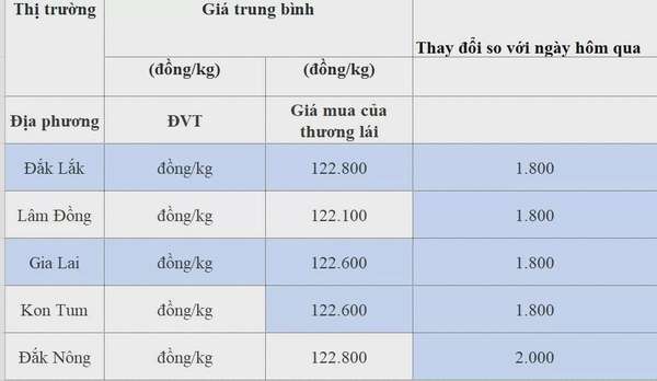 Dự báo giá cà phê ngày 10/8/2024: Ảnh hưởng của nhiều yếu tố, giá cà phê đồng loạt giảm?