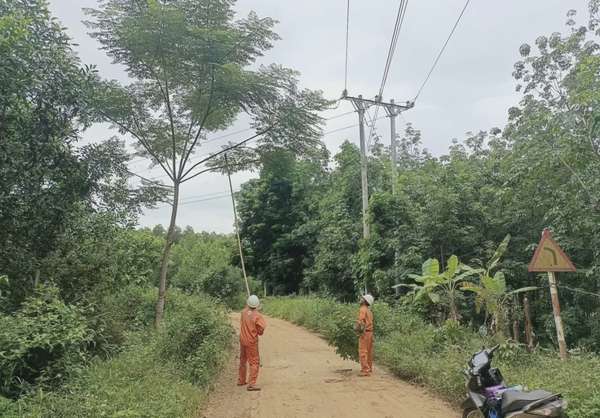 Thừa Thiên Huế: Chuẩn bị phương án đảm bảo cấp điện mùa mưa bão