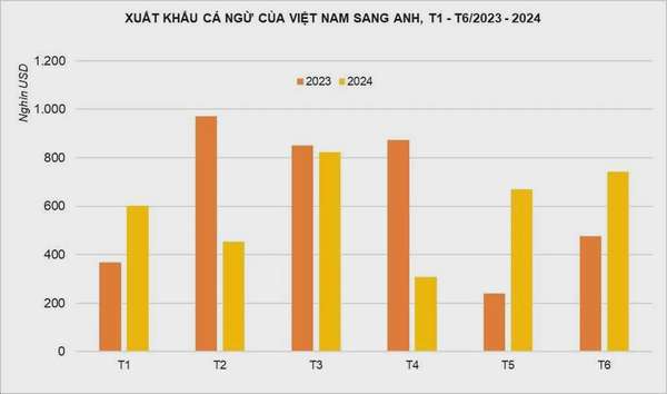 Xuất khẩu cá ngừ sang thị trường Anh thu về 3,6 triệu USD