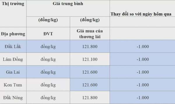 Dự báo giá cà phê ngày 11/8/2024: