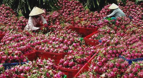 7 tháng đầu năm, Mỹ chi hơn 9 tỷ USD/tháng để nhập khẩu hàng Việt Nam