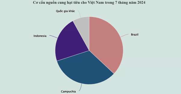 Hồ tiêu - 'vàng đen của Việt Nam đang bị cạnh tranh gay gắt