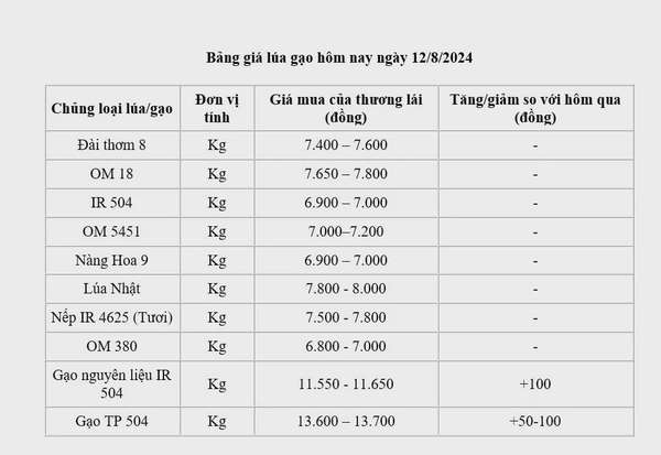 Giá lúa gạo hôm nay ngày 12/8/2024: Giá lúa neo cao, giá gạo xuất khẩu ở mức cao