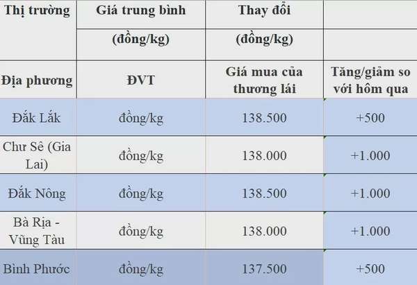 Dự báo giá tiêu ngày 15/8/2024: Tăng mạnh trở lại