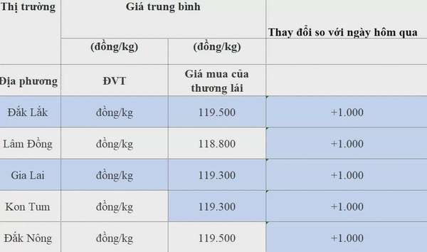 Dự báo giá cà phê 15/8/2024: