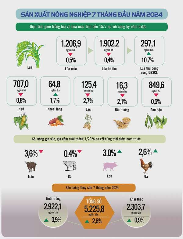 Infographic |Kinh tế - xã hội cả nước 7 tháng đầu năm 2024: Nhiều tín hiệu tích cực