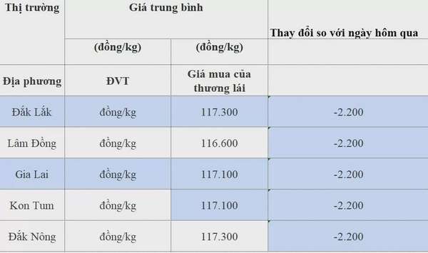 Giá cà phê hôm nay 15/8/2024: Trong nước giảm mạnh, rơi mất 2.200 đồng/kg