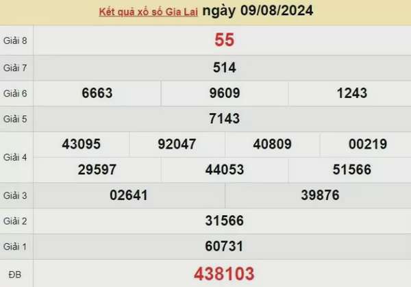XSGL 9/8, Xem kết quả xổ số Gia Lai hôm nay 9/8/2024, xổ số Gia Lai ngày 9 tháng 8