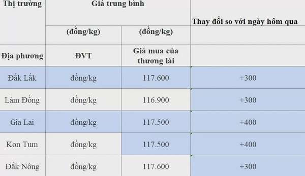 Dự báo giá cà phê 17/8/2024: Tiếp đà tăng