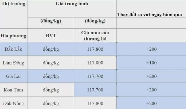 Dự báo giá cà phê 18/8/2024: T