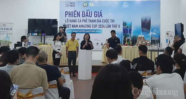 phiên đấu giá lô hàng cà phê đặc sản Vietnam Amazing Cup 2024