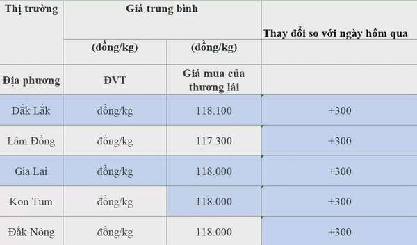 Dự báo giá cà phê 19/8/2024: Tăng nhẹ chưa đủ vực dậy giá cà phê trong nước đi lên, vì sao?