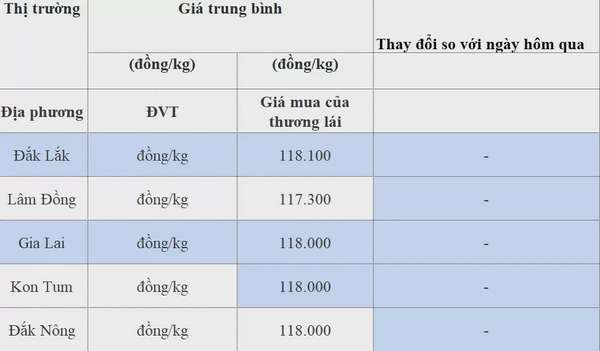 Dự báo giá cà phê 20/8/2024: