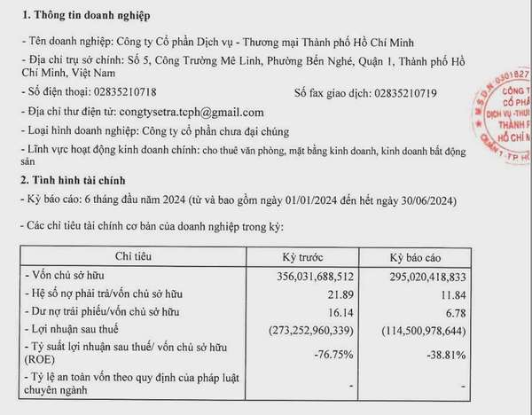 Setra Corp liên tục báo lỗ trong những năm gần đây. Ảnh chụp màn hình