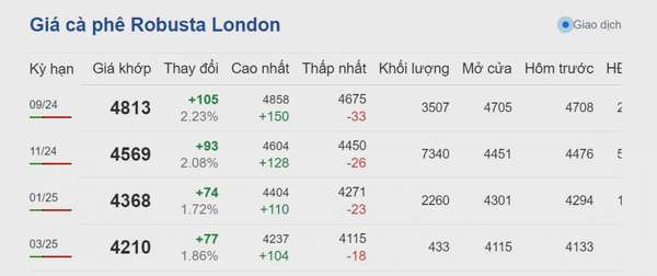 Dự báo giá cà phê 21/8/2024: