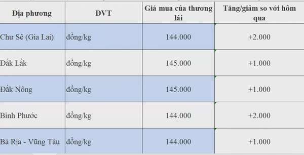 Dự báo giá hồ tiêu 24/8/2024: Liệu chuỗi ngày tăng có chấm dứt?