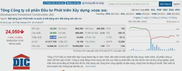 Cổ phiếu DIG của DIC Corp bị bán tháo sau khi Thanh tra Chính phủ chỉ ra loạt sai phạm