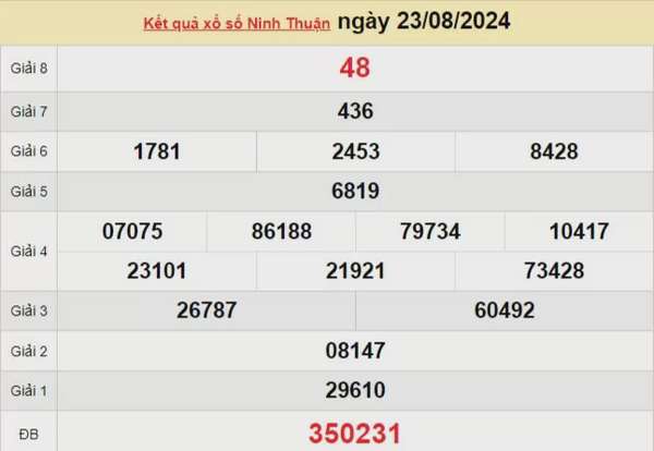 XSNT 23/8, Xem kết quả xổ số Ninh Thuận hôm nay 23/8/2024, xổ số Ninh Thuận ngày 23 tháng 8