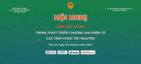 Thúc đẩy liên kết vùng trong phát triển thương mại điện tử tại Gia Lai và các tỉnh vùng Tây Nguyên