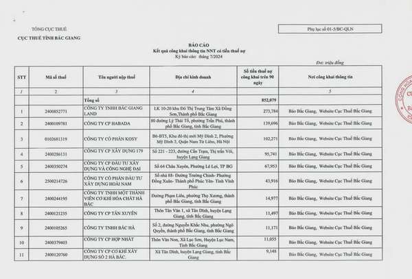Bắc Giang: 3 doanh nghiệp nợ hơn 500 tỷ đồng tiền thuế