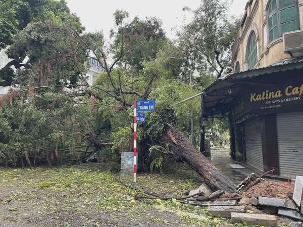 Người dân Hà Nội hỗ trợ lực lượng chức năng khắc phục hậu quả sau bão Yagi