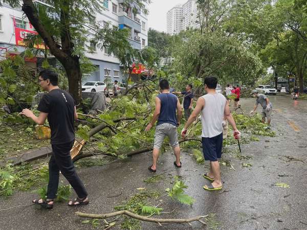 Người dân Hà Nội hỗ trợ lực lượng chức năng khắc phục hậu quả sau bão Yagi