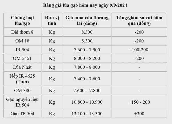 Giá lúa gạo hôm nay 9/9/2024: Giá lúa giảm 100 - 200 đồng/kg;