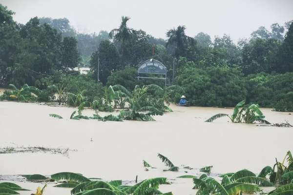 Chạy lũ ở Hà Nội: ‘Nước lên quá nhanh, tôi kẹt giữa sông Hồng khóc cùng đàn lợn’