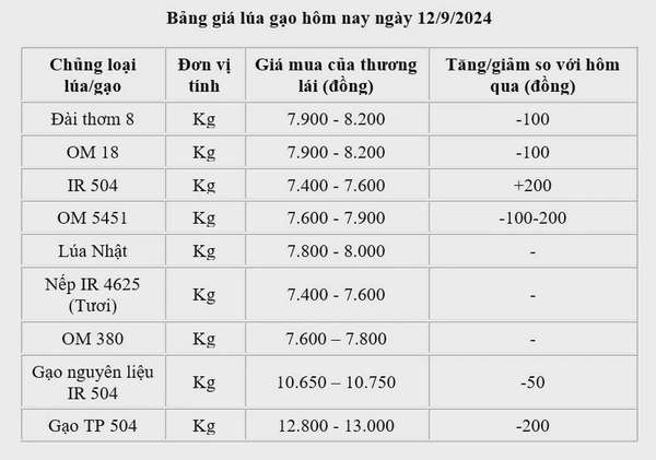 Giá lúa gạo hôm nay 12/9/2024: