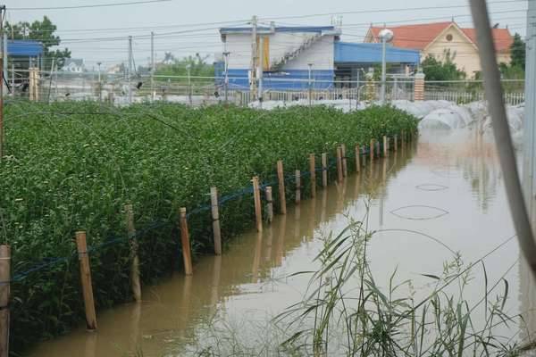 Phó Thủ tướng Trần Hồng Hà kiểm tra công tác phòng, chống lũ lụt tại Nam Định