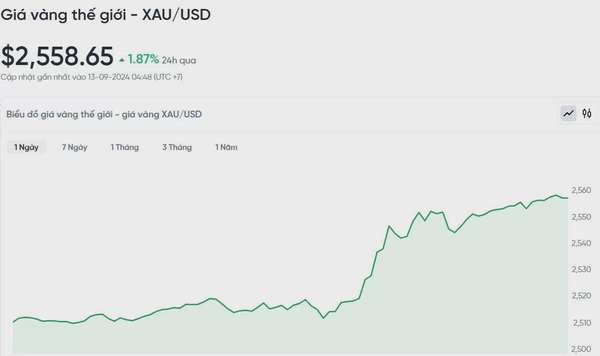 Giá vàng hôm nay 13/9/2024: Vàng đạt đỉnh cao nhất mọi thời đại