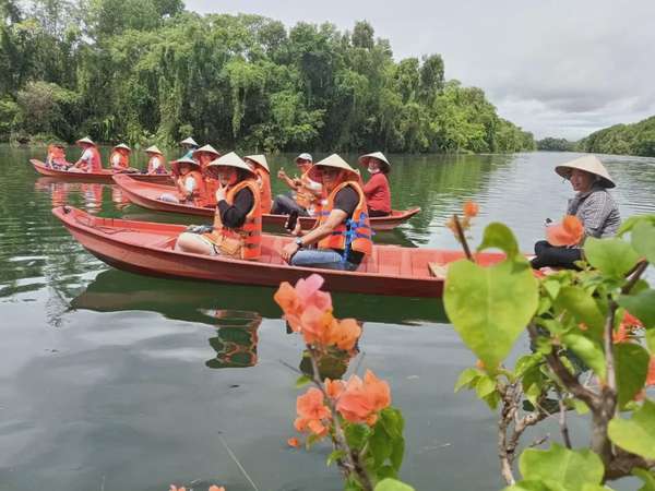 Thương nhớ  "Thành phố bồ câu" ở miền Đồng Tháp Mười