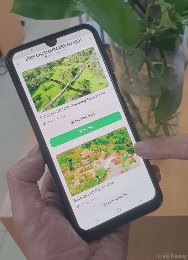 Bình chọn “Điểm đến du lịch hấp dẫn TP. Hồ Chí Minh và 13 tỉnh thành Đồng bằng sông Cửu Long 2024