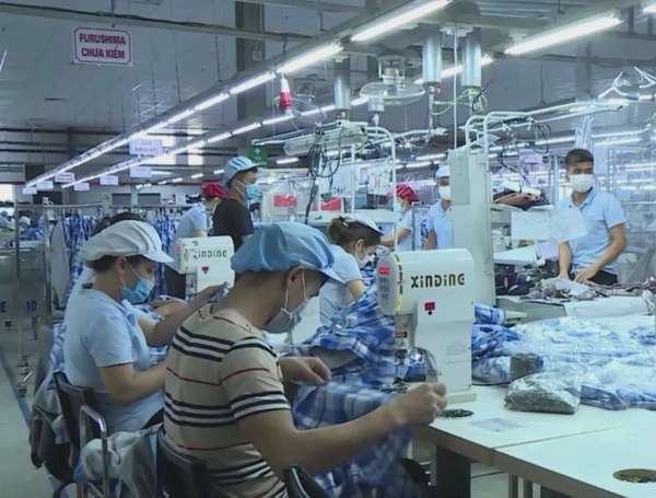 Hòa Bình: Những tín hiệu vui từ thị trường xuất khẩu