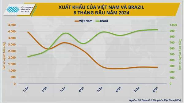 Hướng đi giúp cà phê Việt vững bước trên 'hành trình giá’ mới