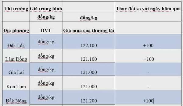 Giá cà phê hôm nay 2/10/2024: Vì sao thị trường hạ nhiệt?