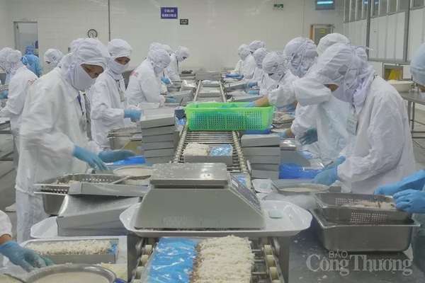 Miền Trung - Tây Nguyên tăng cường thực thi các Hiệp định thương mại tự do (FTA)