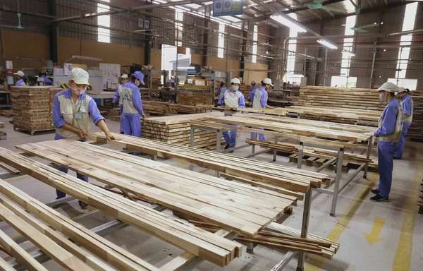 Đến năm 2026 hoàn thành cơ sở dữ liệu của 5 ngành sản xuất trong nước có hàng hóa liên quan đến biện pháp phòng vệ thương mại đang áp dụng