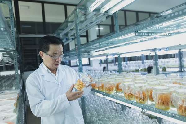 Anh hùng lao động Trần Mạnh Báo - từ chiến trường đến vang danh thương trường