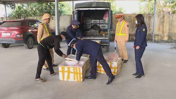 Phú Thọ: Xử phạt lái xe vận chuyển hàng hóa không đảm