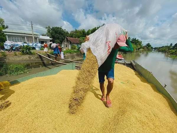Trong quý I/2025, Bờ Biển Ngà là thị trường xuất khẩu gạo lớn thứ hai của Việt Nam với 143 triệu USD, tăng tới 138% so với cùng kỳ năm trước.