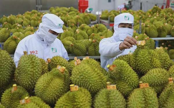 giá trị xuất khẩu các mặt hàng nông sản đạt 8,53 tỷ USD, tăng 12,2%