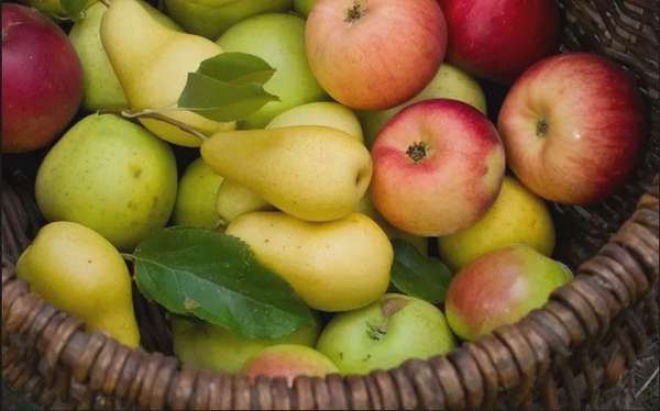 Những loại rau quả nhiều vitamin C hỗ trợ giảm nguy cơ ung thư