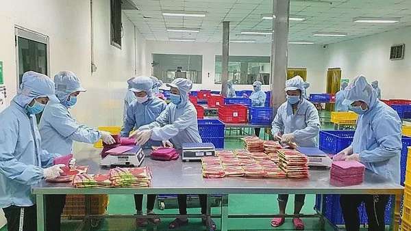 Thủ tục công bố hợp quy đang gây khó cho doanh nghiệp. Ảnh minh họa