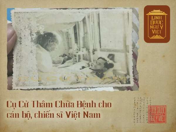 Linh Dược Ngự Y Việt: Đột phá trong công nghệ sản xuất đông dược