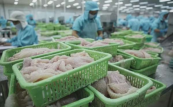Thủy sản Việt chủ động thích ứng quy định tại EU