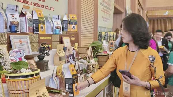 hội nghị giao thương quốc tế Hội nghị giao thương quốc tế: Kết nối, nâng tầm cà phê Việt