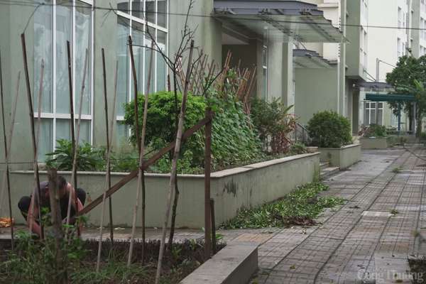 Lãng phí từ hàng nghìn căn hộ tái định cư bỏ hoang Hà Nội: Hàng nghìn căn hộ tái định cư không người ở
