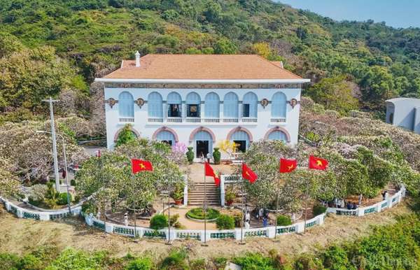 Đẹp ngây ngất mùa hoa sứ ở thành phố Vũng Tàu Đẹp ngây ngất mùa hoa sứ ở thành phố Vũng Tàu