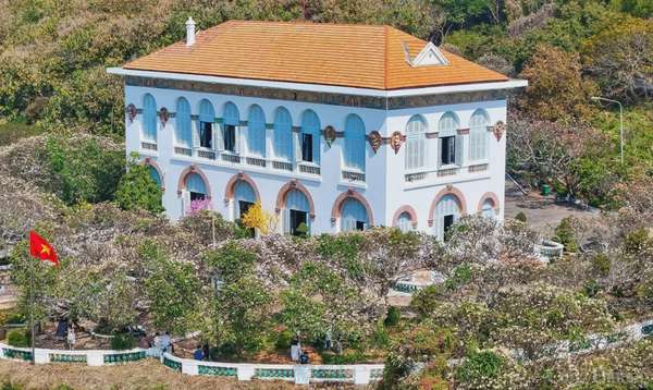 Đẹp ngây ngất mùa hoa sứ ở thành phố Vũng Tàu Đẹp ngây ngất mùa hoa sứ ở thành phố Vũng Tàu